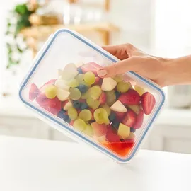 Rotho Frischhaltedose rechteckig horizon blau 1 l