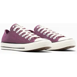 Converse Chuck Taylor All Star Damen Lila/Schwarz 42,5