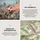 SCHIESSER Lea Grafikprint Grün 135 x 200 cm + 80 x 80 cm