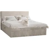 kaiser möbel Boxspringbett mit bettkasten und topper TRENTO, ohne Bein stoff Plüsch Cord 120x200 cm Ecru Textil, H2, Höhe ca. 20 cm, Schlafzimmer, Betten, Boxspringbetten