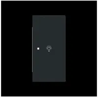 Busch-Jaeger Wippe 2-fach rechts, m.Sym. 6231-22-45M