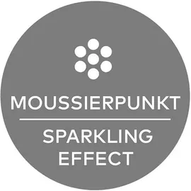 Schott Zwiesel Beer Basic Bierglas 0,5 l 4 St.