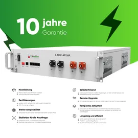 pytes Spezial-Akku LiFePO 4 48 V/DC 100 mAh 1 St.