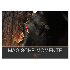 Calvendo Magische Momente - Pferde Horses Caballos (Wandkalender 2026 DIN A3 quer), CALVENDO Monatskalender: Die Magie der Pferde. Fotografien vor schwarzem Hintergrund (CALVENDO Tiere)