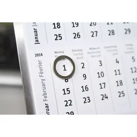 Maul Magnet (Ø x H) 12 mm x 1.5 mm Ring Silber 10 St. 6168396