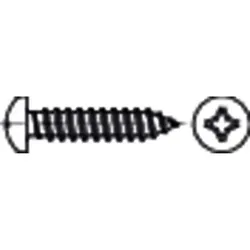 Linsen-Blechschraube DIN 7981-C-H Stahl galZn 5,5x 19 KP