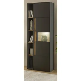 furn.design Center Aktenschrank 70 x 40 x 200 cm grau