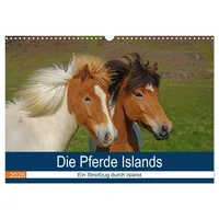 Calvendo Die Pferde Islands - Ein Streifzug durch Island