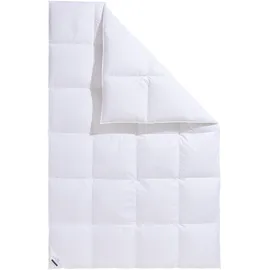 billerbeck Eliana 90, Kassette IV extrawarm