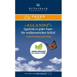 billerbeck Alcando Kopfkissen 80 x 80 cm Weiß