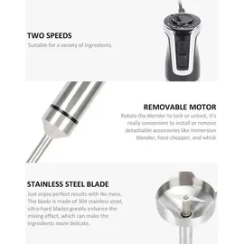 Royalty Line RL-ESTM800 Stabmixer