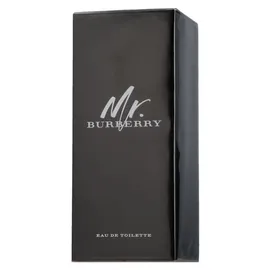 Burberry Mr. Burberry Eau de Toilette 100 ml