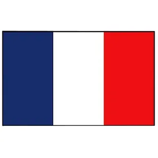 Flagge  (Frankreich, 45 x 30 cm, Spunpolyester)