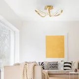 Paul Neuhaus Melinda gold