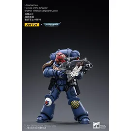 HEO GMBH Warhammer 40k Actionfigur Bruder Veteran Sergeant Castor 12 cm