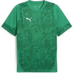 Puma Teamcup Training Jersey sport green-puma silver-power green (05) 3XL