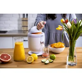 Lauben Electric Citrus Juicer 110WT