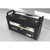 FORSTER INDIVIDUAL BATTERIES FORSTER 100Ah 25,6V LiFePO4 Premium Batterie | 200A-BMS-2.0 | 2560Wh | IP67