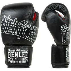 BENLEE Boxhandschuhe aus Leder ROCKLAND