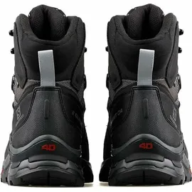 Salomon Quest 4 GTX Herren Magnet/Black/Quarry 42 2/3