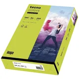 Inapa tecno colors, grün