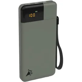 aqiila Powerbird B10 Powerbank 10000 mAh LiPo USB-A, USB-C® Moosgrün