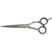 Kyone 480 - 5,5 Zoll