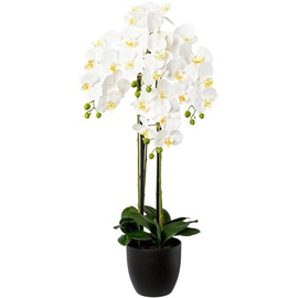 Creativ green Kunstorchidee »Phalaenopsis im Resintopf«, mit Real-Touch-Blüten, weiß