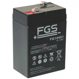 Fiamm Akku passend Horizont FGS 6V 4,5Ah Euro-Blitz compact Blei