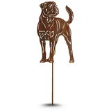 Terma Stahldesign Edelrost Hund Verschiedene Rassen, Handmade Germany, tolle gartendeko aus Rost-Metall, deko rostoptik, Rostfiguren Tiere, rostfiguren Garten, Rostdeko (Rottweiler)