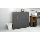 borchardt Möbel Sekretär »Dolly«, platzsparend, Home-Office-Schreibtisch, Breite 110 cm, Made in Germany