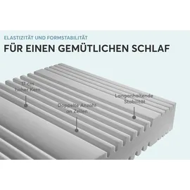Ravensberger Matratzen Basis 100 x 200 cm H3