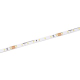 lampenwelt.de Radium Essence 1500 LED-Strip, 5 m, 60W, 6.500K