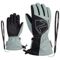 Ziener Skihandschuhe LAVAL AS(R) AW grau 5,5