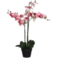 Mica decorations Mica Kunstpflanze Phalaenopsis im Topf rosa, 75