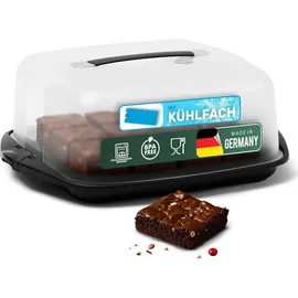 Novaliv 3er-Set Kuchen-Transportbox (Rechteckig 38 x 33 x 15 cm), Aufbewahrungsbox mit Deckel für Kuchen & Torten, Tortentransportbox Tortenglocke Tortenbehälter, Zubehör Box Dessert Aufbewahrung