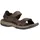 Teva Langdon walnut 39,5