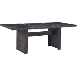 vidaXL Gartentisch 200 x 100 x 74 cm Schwarz