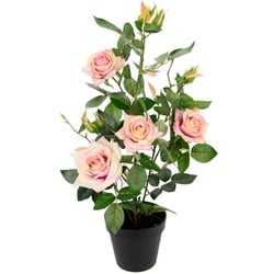 Kunstbaum Rosenbusch im Topf, I.GE.A., Höhe 50 cm, Kunstrosen Kunstpflanzen Rosenstrauch Deko Hochzeit rosa