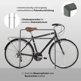 Trutzholm Fahrradständer 2 x Fahrradanlehnbügel 114 x 77 cm Flachstahl 13 mm Anthrazit