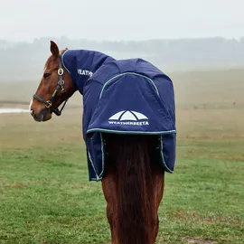 Weatherbeeta Comfitec Plus Dynamic Turnout Detach-A-Neck 220g, 140