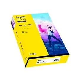 Inapa tecno A4 160 g/m2 250 Blatt
