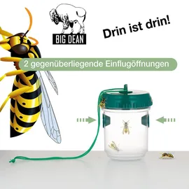 BigDean Wespenfalle Lebendfalle 3 St.