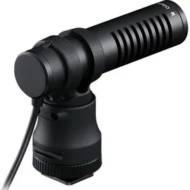 Canon DM-E100