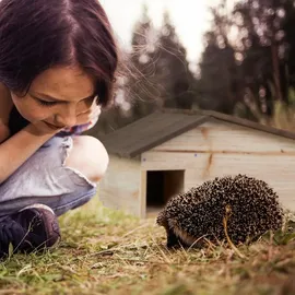 Relaxdays Igelhaus, Holz, Igelhotel mit Boden, 2 Kammern, Winterquartier für Igel, Garten, HBT: 24x46x33,5 cm, braun