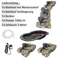 Köhko Bachlauf Auenwald