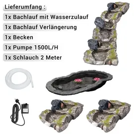 Köhko Bachlauf Auenwald