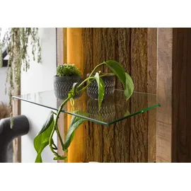 Massivmoebel24 Hängevitrine Akazie 45 x 30 x 145 cm Beige