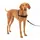 PetSafe Easy Walk Geschirr,