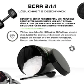 Vit4ever GEN BCAA 2:1:1 Pulver 500 g